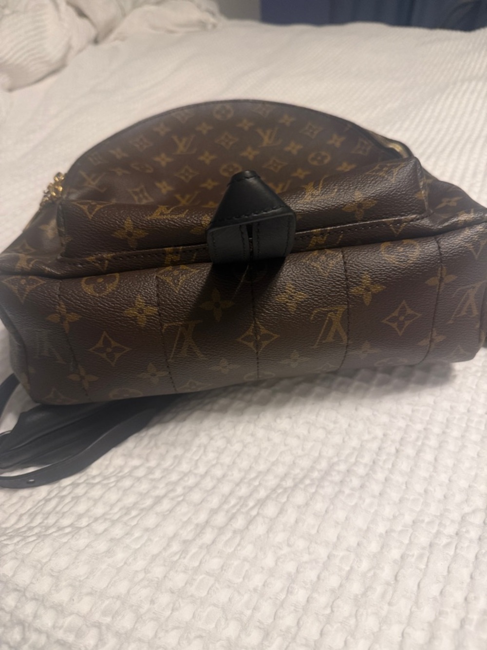 Louis Vuitton Palm Springs medium Brown Monogram Backpack - Picture 9 of 12